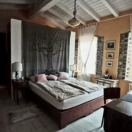 Guest house Casa Siloah *